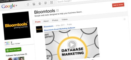 Google+ a big plus for business Google+ a big plus for business